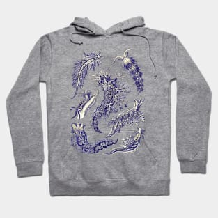 Ernst  Haeckel Nudibranchia Sea Slug Yellow Blue Hoodie